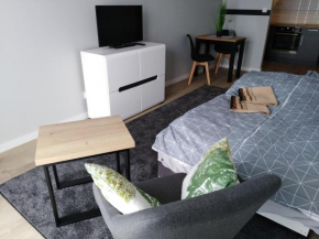 Apartament w centrum Szczecina in Stettin
